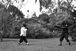 Fencing at the Pianodrome