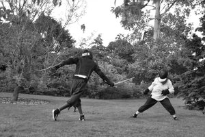 Fencing at the Pianodrome