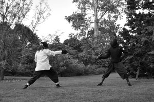Fencing at the Pianodrome